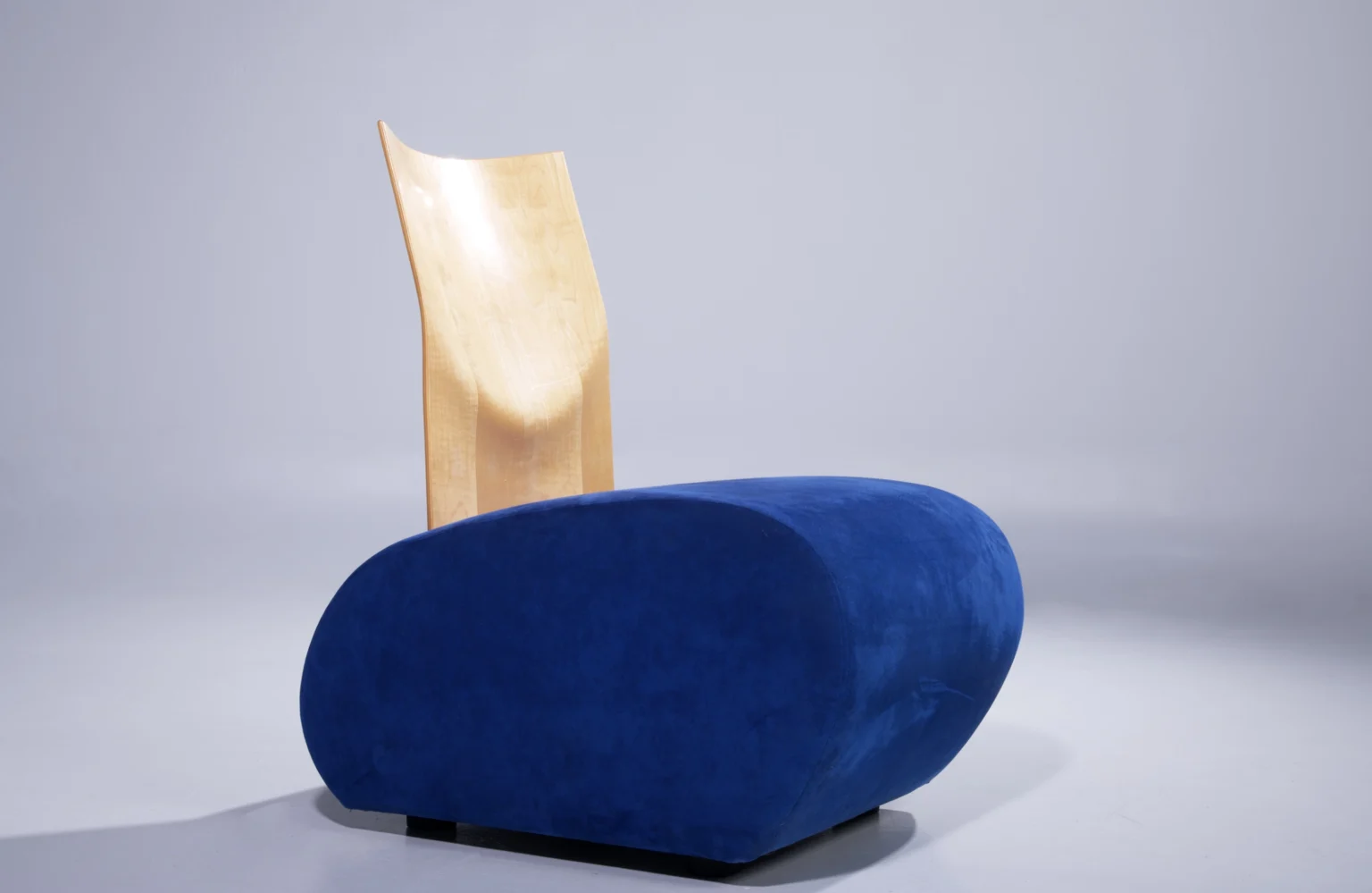Karlich Friedrich Förster Lounge chairs